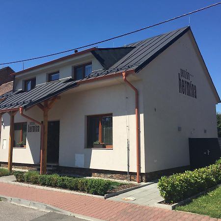 Penzion Hermina Veselí nad Moravou Exteriér fotografie